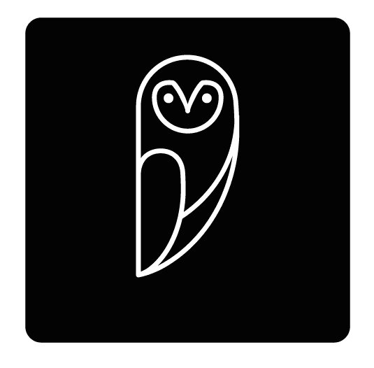 LOGO E CORUJA FO 13 1